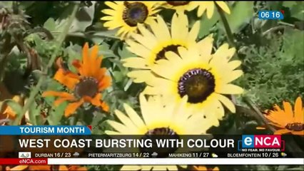 West Coast bursting with colour