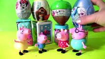 Secret Life of Pets Toys Surprises Peppa Pig Shopkins CHEF Disney Frozen Elsa Funtoyscollector