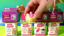 SURPRISE NUM NOMS Lights Mystery Packs & Num Noms Freezies Pops Series 2 by Funtoyscollector