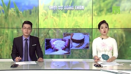 Sự thật thông tin "90% người Việt dùng gạo bẩn" | VTC16