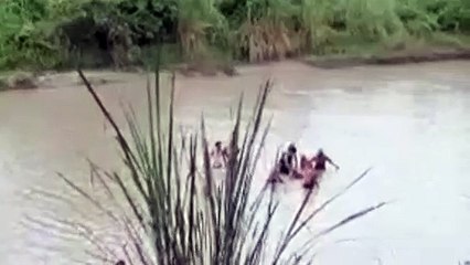 सहारनपुर: पूर्वी यमुना नहर में मिला 2 दिन से लापता युवक का शव