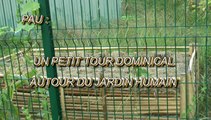 LES PROMENADES DE MICHOU64 W-D.D. - 30 AOÛT 2020 - PAU - UN PETIT TOUR DOMINICAL AUTOUR DU JARDIN HUMAIN