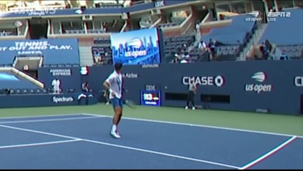Djokovic disqualifié après avoir envoyé une balle sur une juge de ligne (US Open)