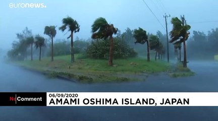 Typhoon Haishen batters southern Japan