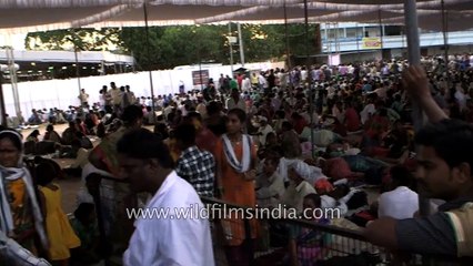 Food service arranges for people who come for the fish medicine, Hyderabad
