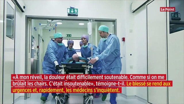 Meurthe-et-Moselle : un homme mordu chez lui par une araignée exotique