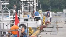 جائحة كورونا أضرت بقطاع الصيد البحري في اليابان