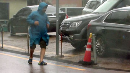 경북서도 태풍 피해 속출...울진서 60대 남성 실종 / YTN