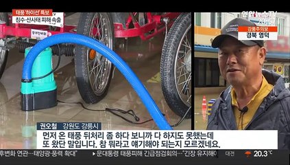 시간당 70㎜ 폭우…또 물바다된 경포호 주변 상가