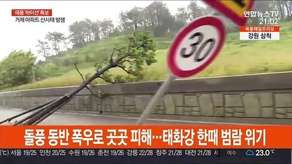 돌풍 동반 폭우로 곳곳 피해…태화강 한때 범람 위기