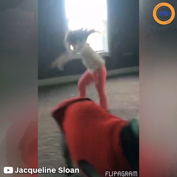 Quand cette petite fille rentre en courant dans la pièce, le comportement du Pitbull est incroyable !