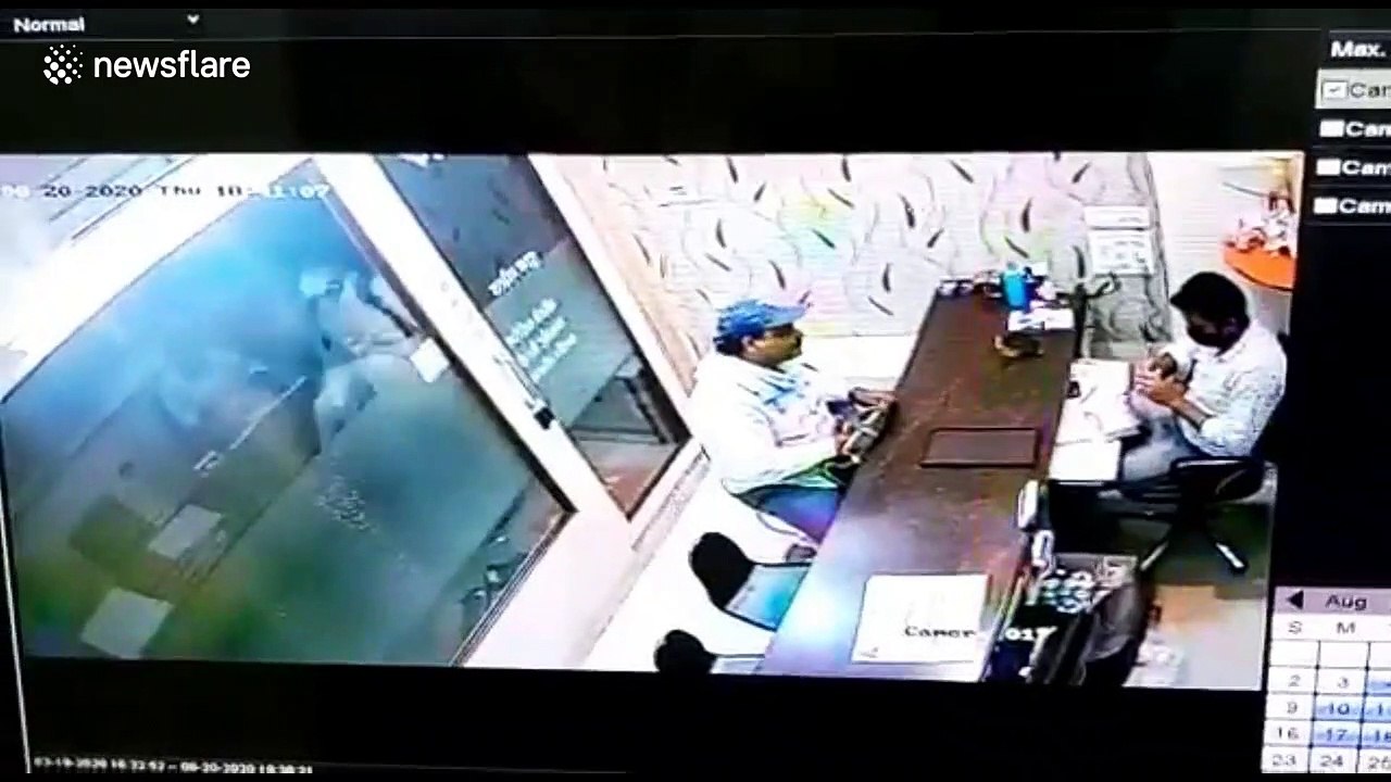 Blundering thief launches chilli powder at jewe...