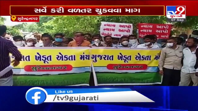 Heavy rain lashed crops, farmers seeking govt help - Surendranagar