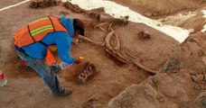 Des centaines d'os de mammouths ont été trouvés sur le chantier de construction d'un aéroport mexicain