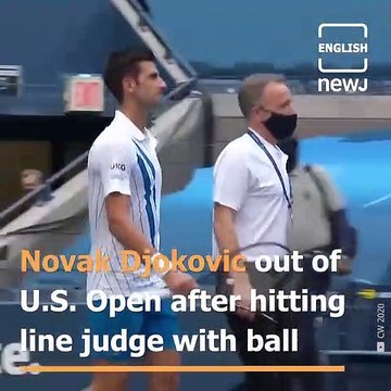 'So unintended. So wrong. I am extremely sorry to have caused her such stress': Novak Djokovic apologies after blowing chance at tennis tournament.