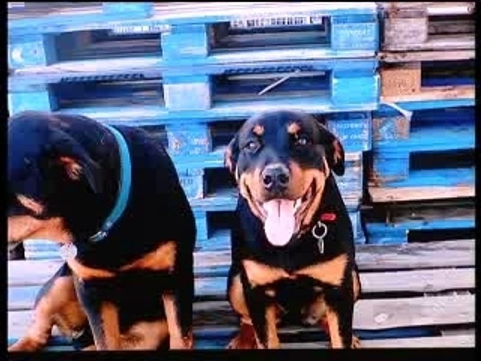 France 3 Rhone Alpes 18/02/2008