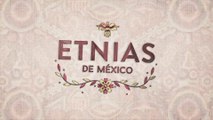 Etnias de México - Huicholes