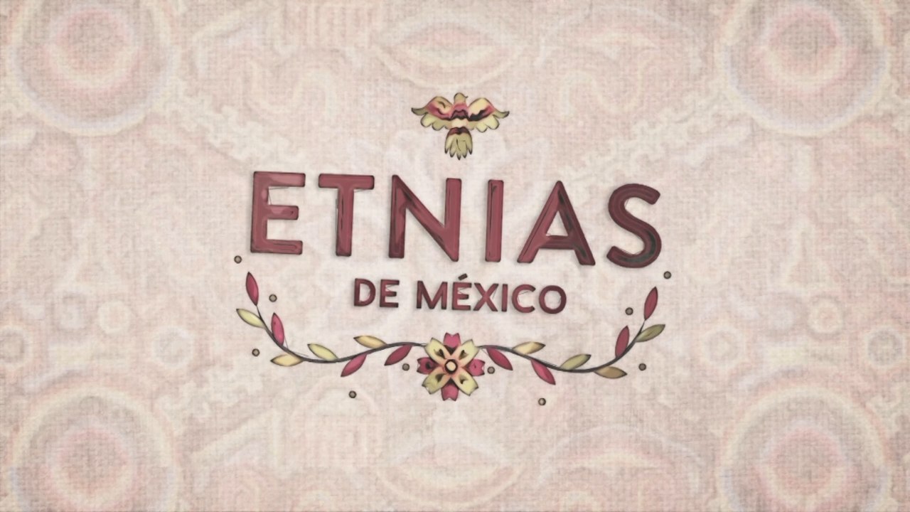 Etnias de México - Otomíes