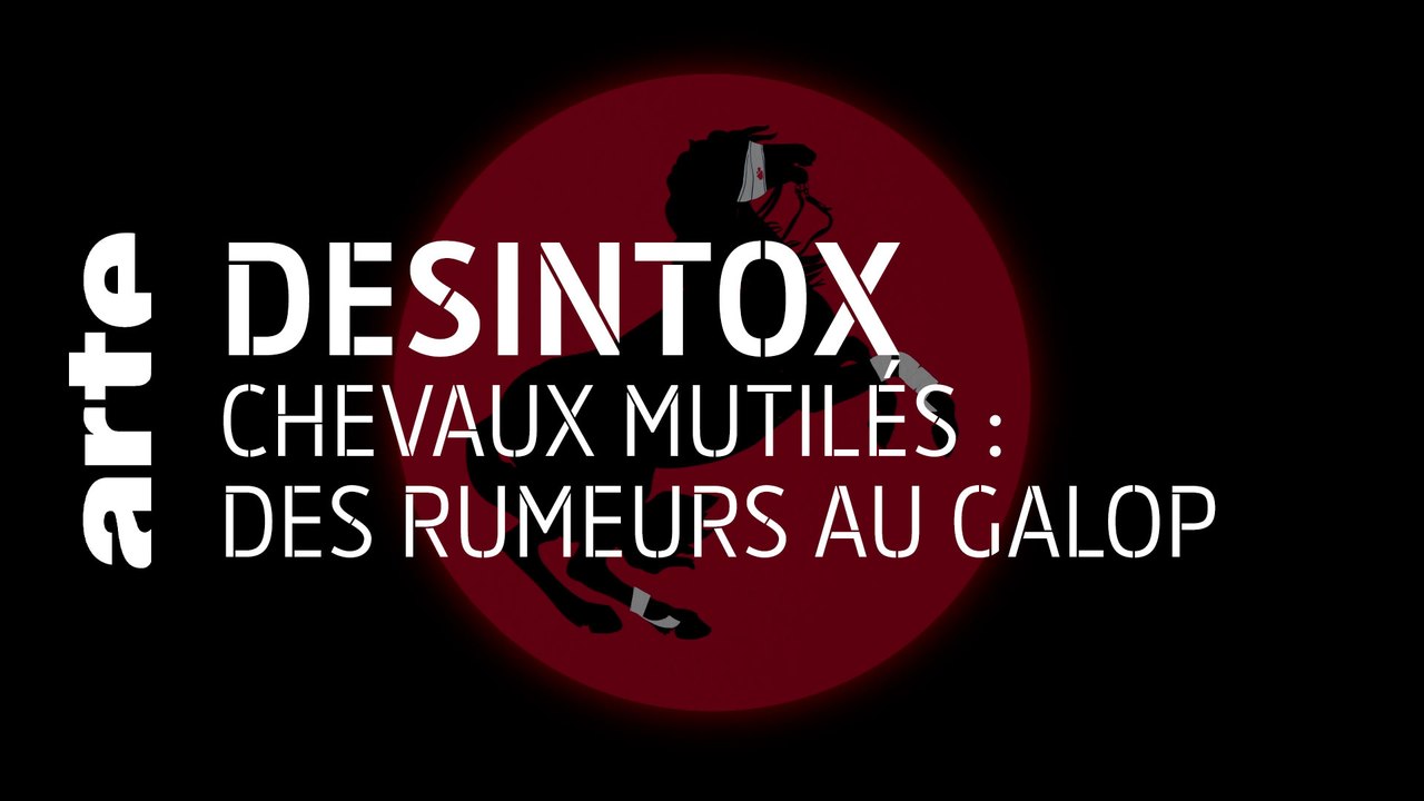 Chevaux mutilés : des rumeurs au galop | 07/09/2020 | Désintox | ARTE