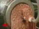 Video Spawns Largest Beef Recall in U.S.