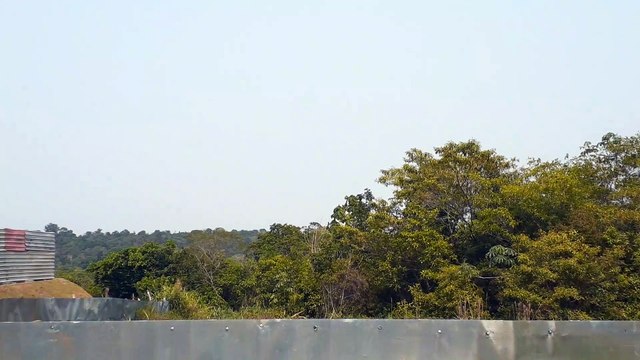 [SBEG Spotting]Airbus A321 PT-MXC na final antes de pousar em Manaus vindo de Brasília(07/09/2020)