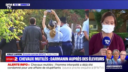 Story 4 : Un homme arrêté dans le cadre de l'enquête sur des chevaux mutilés - 07/09