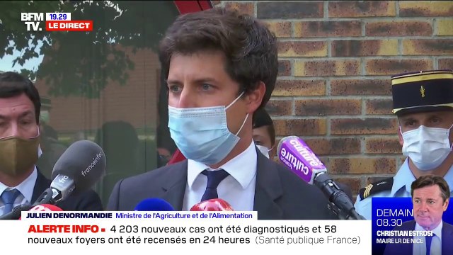 Chevaux mutilés: pour Julien Denormandie, c'est une situation inacceptable qui est prise très au sérieux par le gouvernement