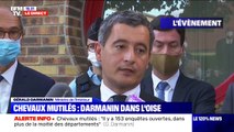 Chevaux mutilés: Gérald Darmanin appelle les Français propriétaires de chevaux à ne pas 