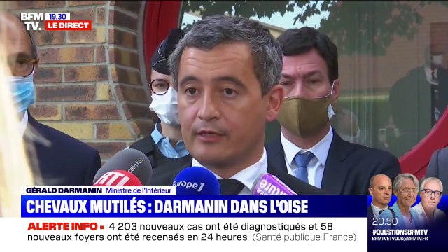 Chevaux mutilés: Gérald Darmanin appelle à la mobilisation générale des Français pour signaler à la gendarmerie tous les indices