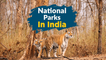20 Best National Parks In India | Wildlife Sanctuaries India - TravelTriangle