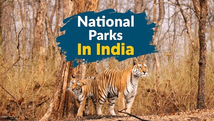 20 Best National Parks In India Wildlife Sanctuaries India - TravelTriangle