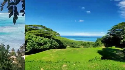 A VENDRE TERRAIN DE 27 103M2 Á MOOREA-VAIANAE