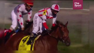 Old Forester Bourbon Turf Classic 2020 (FULL RACE)