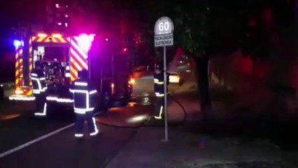 Bombeiros controlam fogo ateado em árvore, no Centro