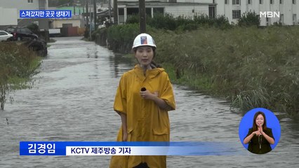 태풍 하이선 제주 스쳐갔지만…날아가고 잠기고 곳곳 생채기