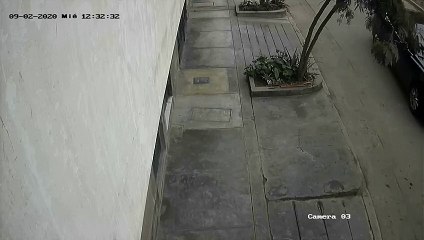 Chino - Camara 3x1 (Entrada 12.32.30 - Salida 13.08.02)