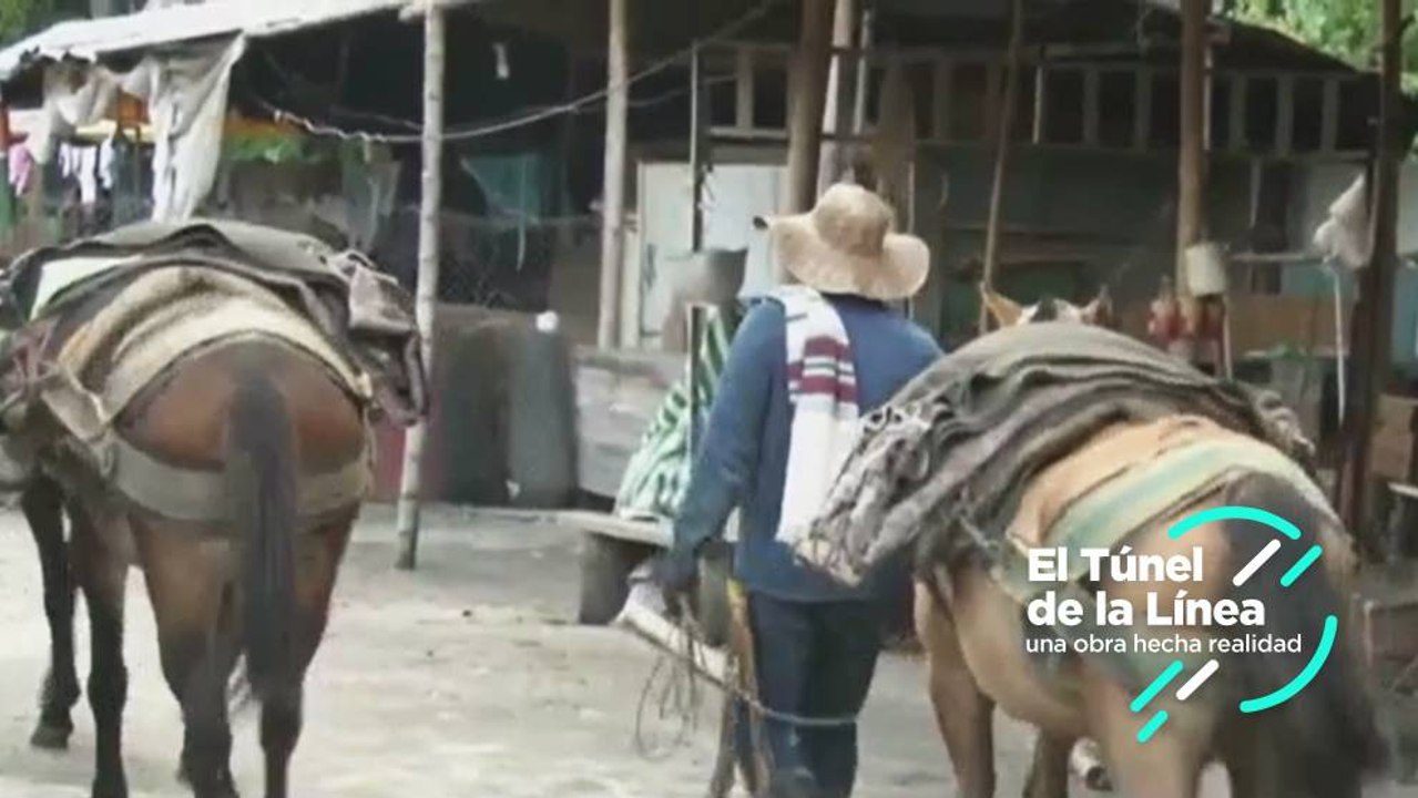 Los arrieros se mantienen a pesar del tiempo y...