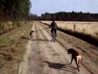 Vidéo VTT avec kiki et Tarifa le 5 février