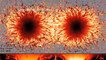 Sunspots Revealed - Science Nation