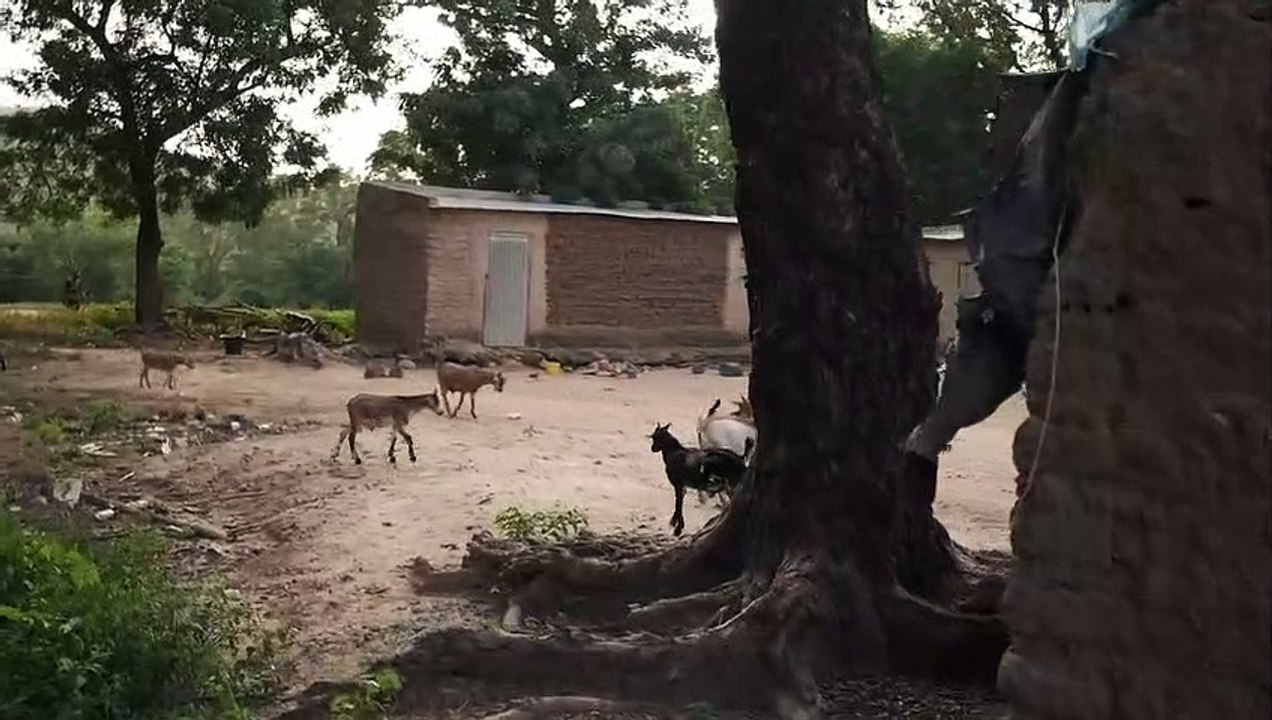Village