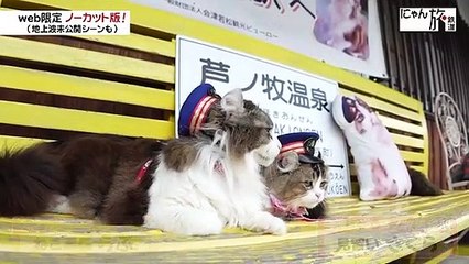 Vol.72お見送りの研修にゃ！