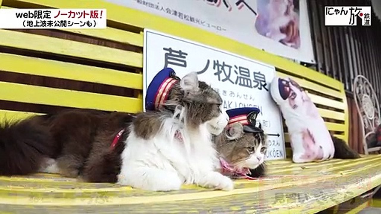 Vol.72お見送りの研修にゃ！
