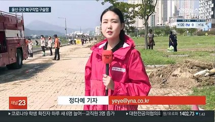 잠기고 무너지고…울산 곳곳 복구작업 구슬땀