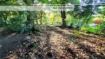 A VENDRE TERRAIN DE 1160M2 C/MONT Á HAAPITI-MOOREA (LOTB)