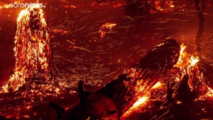 Katasztrofális a helyzet Kaliforniában, már kétmillió hold erdő leégett