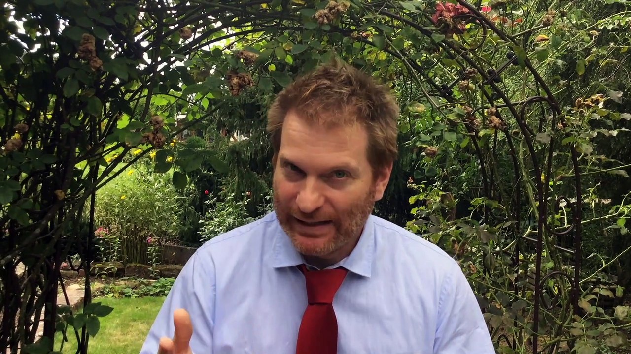 DIE PARTEI Bielefeld zur Kommunalwahl 2020 - WB 23 Milse-Altenhagen