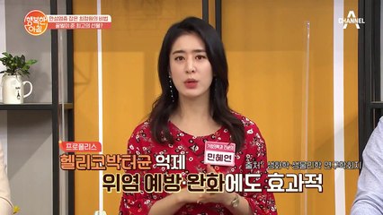 염증-암 예방! [프로폴리스]의 항염·항암 효과!