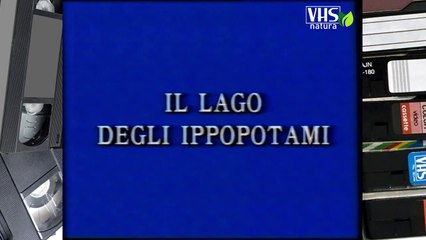 IL LAGO DEGLI IPPOPOTAMI