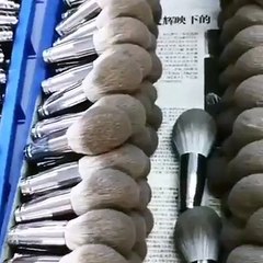 Upgrade Your Makeup Game with Professional Brushes & Sponges ✨