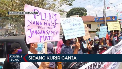 Kasus Kurir Ganja 250 Kg Disorot Warga